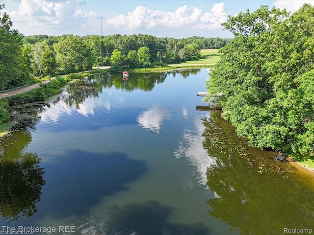 166 Indian Trl, Columbiaville, MI 48421 - water view featuring a forest