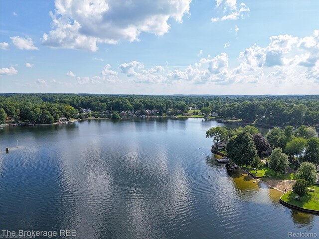 166 Indian Trl, Columbiaville, MI 48421 - water view featuring a heavily wooded area