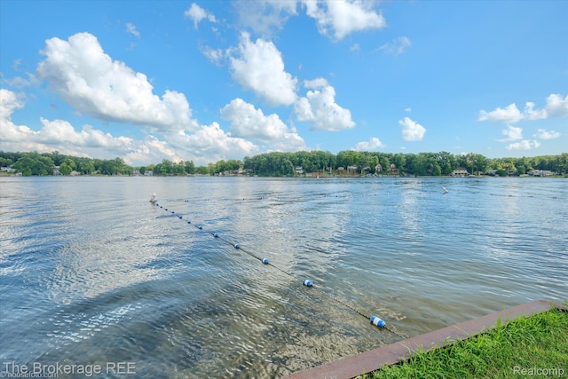 166 Indian Trl, Columbiaville, MI 48421 - water view