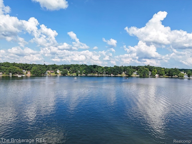 166 Indian Trl, Columbiaville, MI 48421 - water view