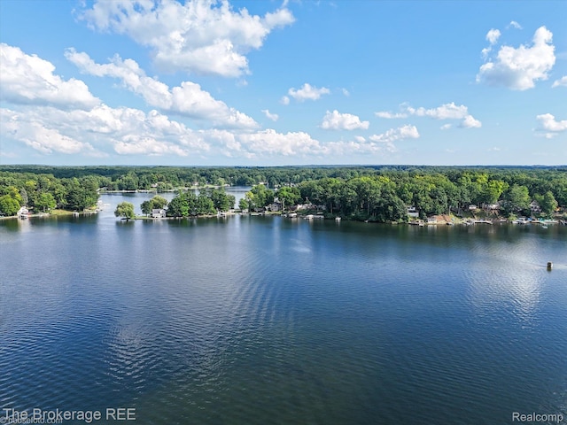 166 Indian Trl, Columbiaville, MI 48421 - water view featuring a forest
