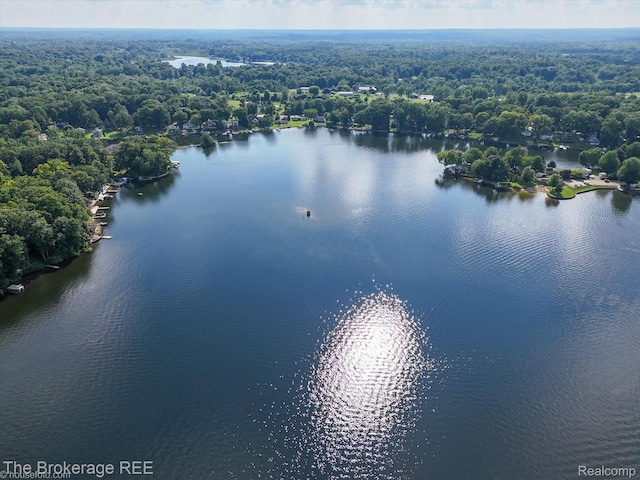 166 Indian Trl, Columbiaville, MI 48421 - drone / aerial view of a large body of water and a heavily wooded area