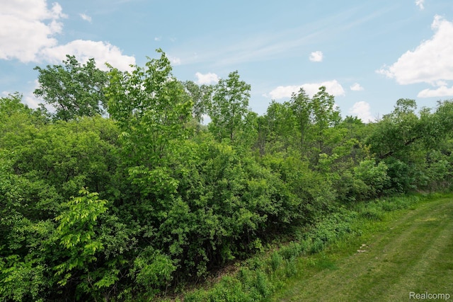 2548 Oxford Cir, Ann Arbor, MI 48103 - photo 42