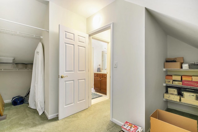 2736 Aspen Ct, Ann Arbor, MI 48108 - view of storage area