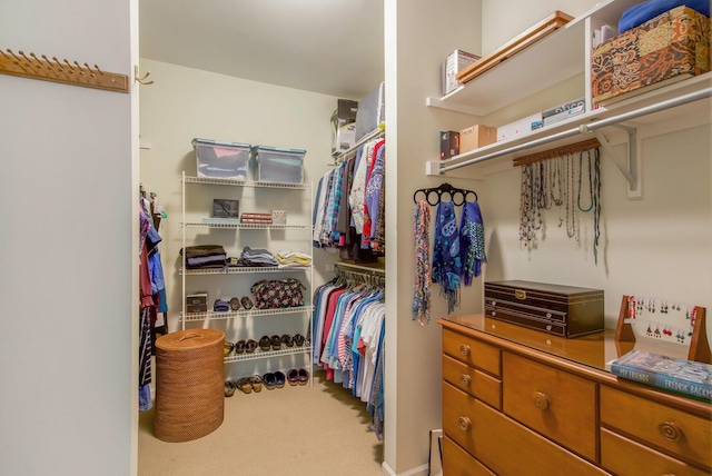 2736 Aspen Ct, Ann Arbor, MI 48108 - walk in closet with carpet