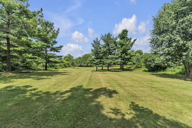 2050 S Wagner Rd, Ann Arbor, MI 48103 - view of grassy yard