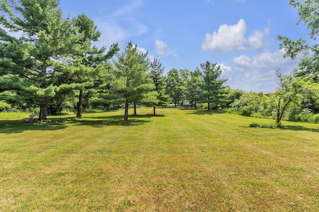 2050 S Wagner Rd, Ann Arbor, MI 48103 - view of grassy yard