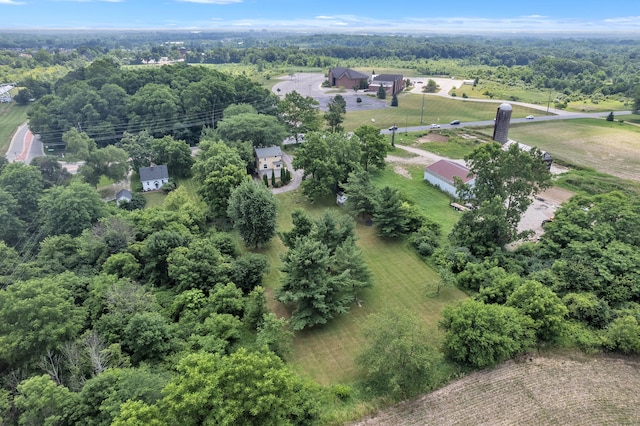 2050 S Wagner Rd, Ann Arbor, MI 48103 - bird's eye view of a forest