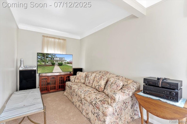 14455 Longtin St, Southgate, MI 48195 - photo 10