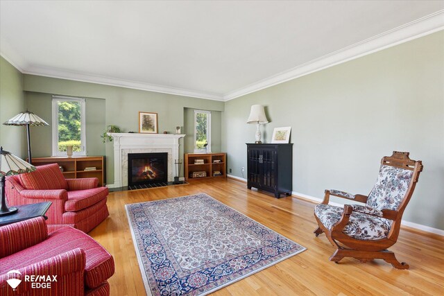 501 Lafayette St, Flint, MI 48503 - living room featuring a fireplace, healthy amount of natural light, wood finished floors, and crown molding