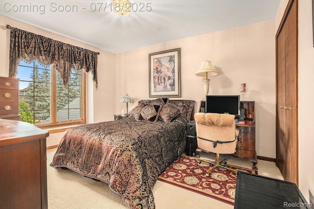 17540 E Northville Trl, Northville, MI 48168 - photo 17
