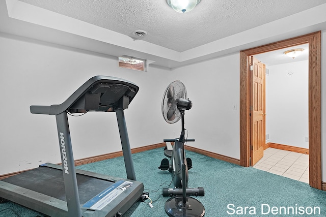 1026 Alan St, Fremont, MI 49412 - exercise room with a textured ceiling and carpet floors