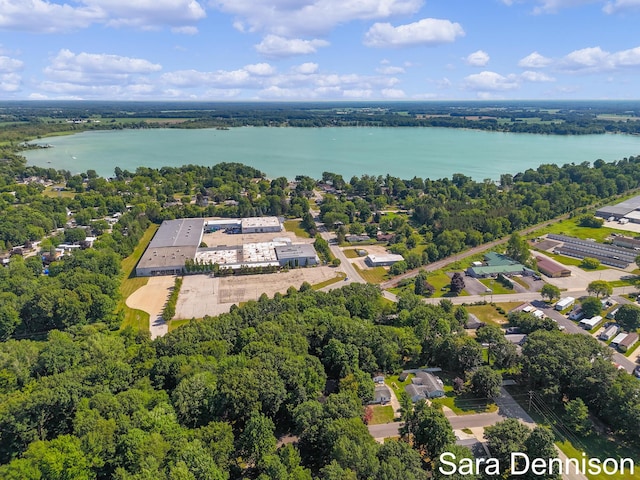 1026 Alan St, Fremont, MI 49412 - bird's eye view of a large body of water
