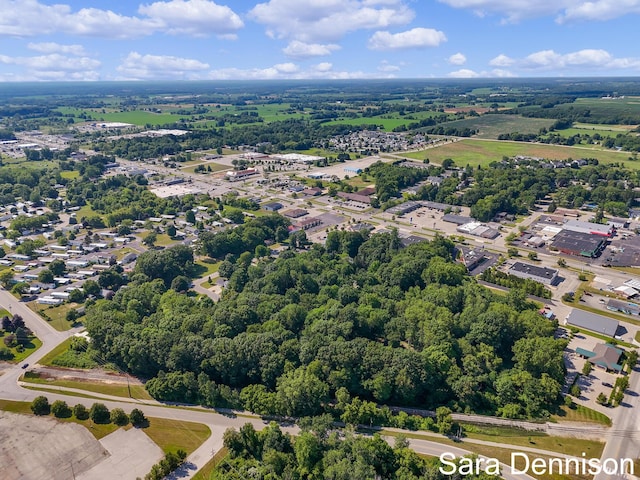 1026 Alan St, Fremont, MI 49412 - bird's eye view