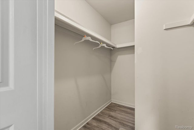 24690 Bashian Dr, Novi, MI 48375 - spacious closet featuring wood finished floors