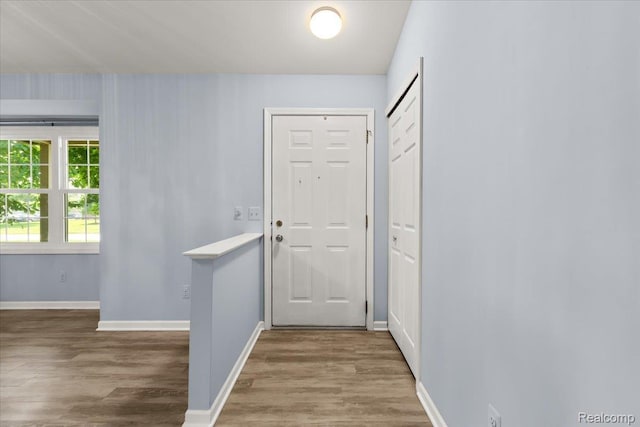 24690 Bashian Dr, Novi, MI 48375 - doorway to outside featuring wood finished floors