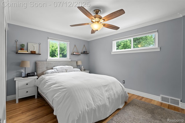 1450 N Stephen Ave, Clawson, MI 48017 - bedroom with multiple windows, crown molding, wood finished floors, and ceiling fan