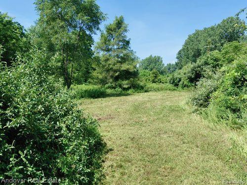 000 Allison Rd, Milan, MI 48160 - photo 7