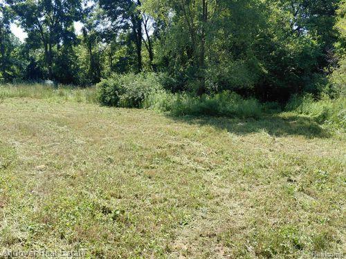 000 Allison Rd, Milan, MI 48160 - photo 5