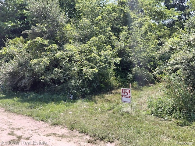 000 Allison Rd, Milan, MI 48160 - photo 2