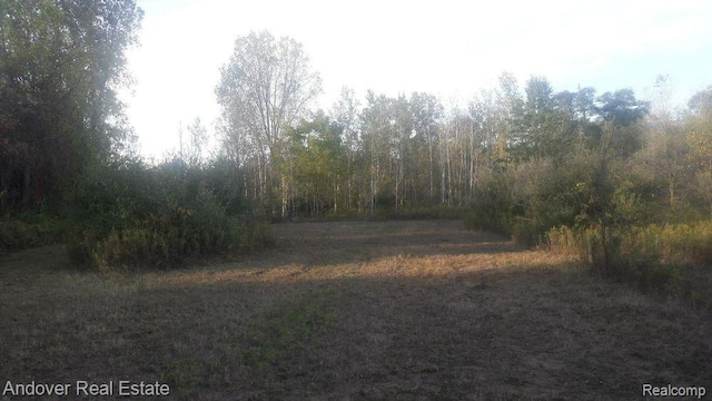 000 Allison Rd, Milan, MI 48160 - photo 9