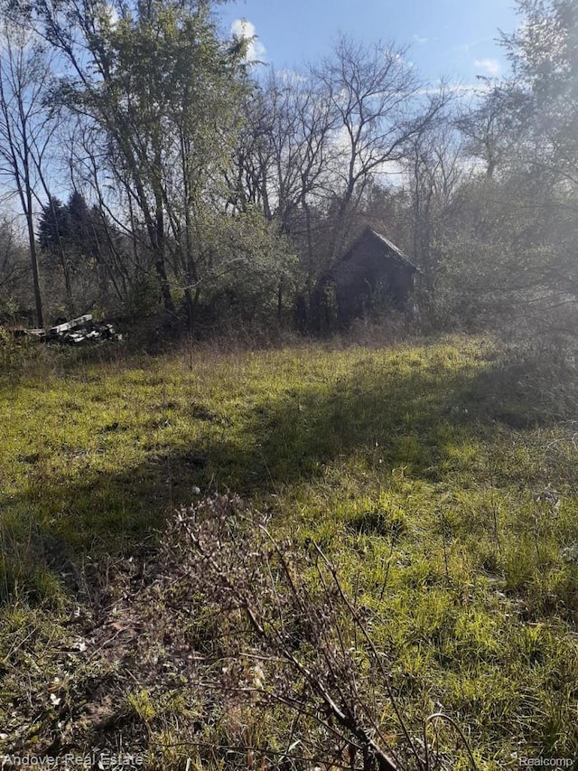 000 Allison Rd, Milan, MI 48160 - photo 10