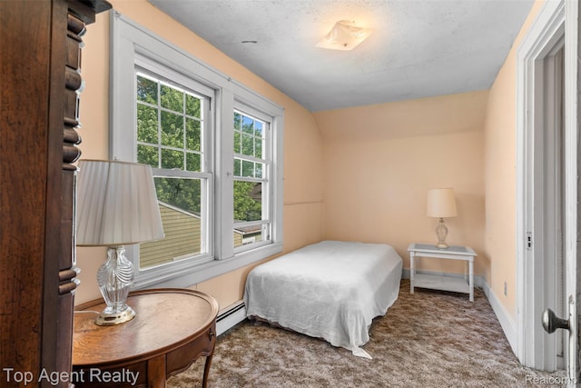 23123 E 13 Mile Rd, Saint Clair Shores, MI 48082 - bedroom with carpet floors, a baseboard heating unit, and vaulted ceiling