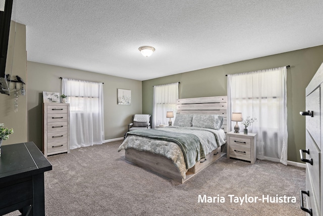 16205 Suffolk Dr, Spring Lake, MI 49456 - carpeted bedroom with multiple windows and a textured ceiling