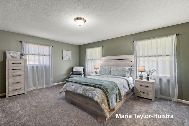 16205 Suffolk Dr, Spring Lake, MI 49456 - carpeted bedroom featuring baseboards and a textured ceiling