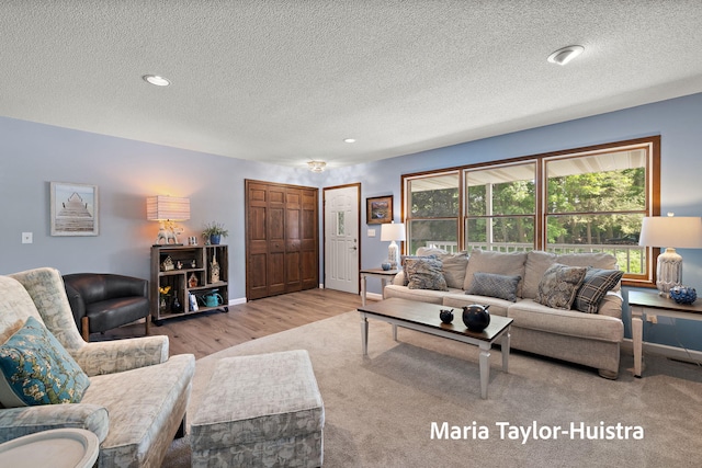 16205 Suffolk Dr, Spring Lake, MI 49456 - living room featuring a textured ceiling, wood finished floors, and recessed lighting