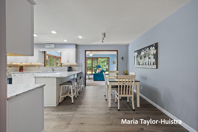16205 Suffolk Dr, Spring Lake, MI 49456 - dining room with a textured ceiling, recessed lighting, and light wood-style floors