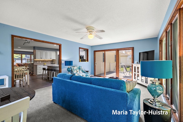 16205 Suffolk Dr, Spring Lake, MI 49456 - living room featuring ceiling fan, a textured ceiling, wood finished floors, and carpet floors