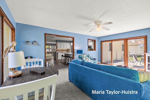 16205 Suffolk Dr, Spring Lake, MI 49456 - living room featuring a ceiling fan and a textured ceiling