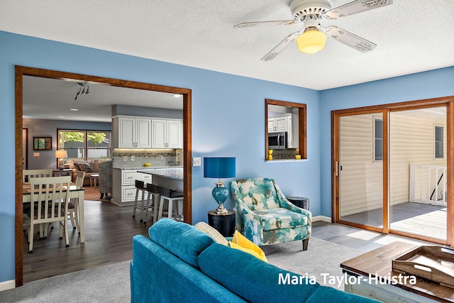 16205 Suffolk Dr, Spring Lake, MI 49456 - living area featuring ceiling fan, wood finished floors, and a textured ceiling