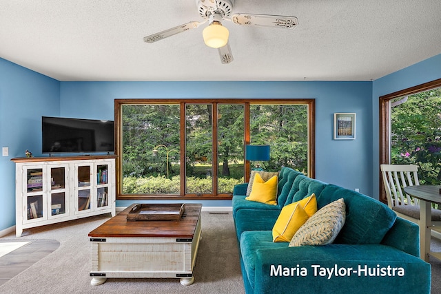 16205 Suffolk Dr, Spring Lake, MI 49456 - living area featuring healthy amount of natural light, a textured ceiling, ceiling fan, and carpet floors