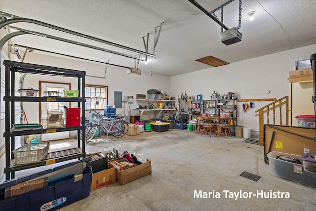 16205 Suffolk Dr, Spring Lake, MI 49456 - garage with a garage door opener and electric panel