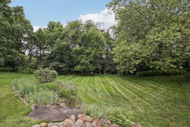2373 Belgrade Notch St, Ann Arbor, MI 48103 - view of green lawn