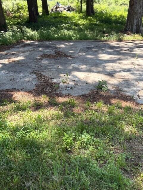 331 S Euclid Ave, Benton Harbor, MI 49022 - photo 5