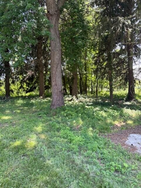331 S Euclid Ave, Benton Harbor, MI 49022 - photo 6