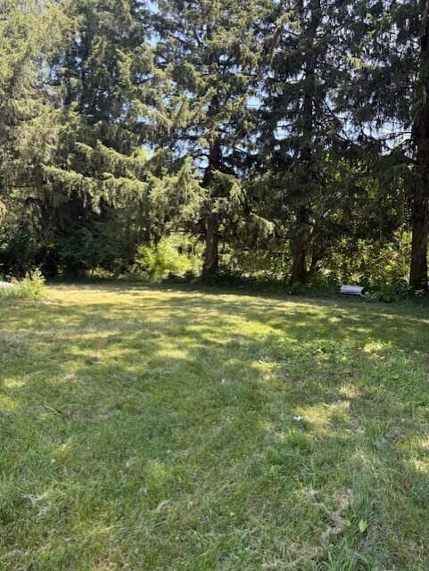 331 S Euclid Ave, Benton Harbor, MI 49022 - photo 8