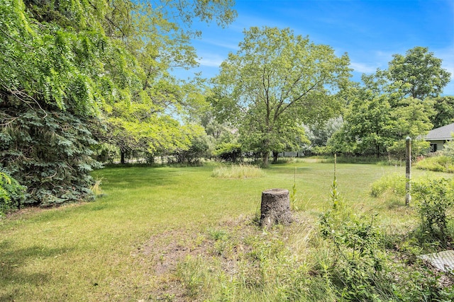 258 Division St, Eastlake, MI 49626 - view of grassy yard