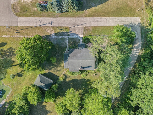 258 Division St, Eastlake, MI 49626 - view from above of property