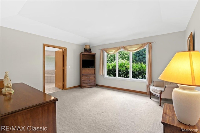 4160 Rolling Pines Ct, Commerce Twp, MI 48382 - photo 30