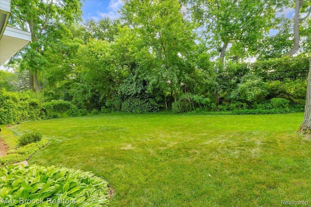 2419 Avondale St W, Sylvan Lake, MI 48320 - view of green lawn