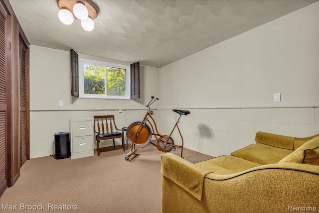 2419 Avondale St W, Sylvan Lake, MI 48320 - living area featuring carpet floors and concrete block wall
