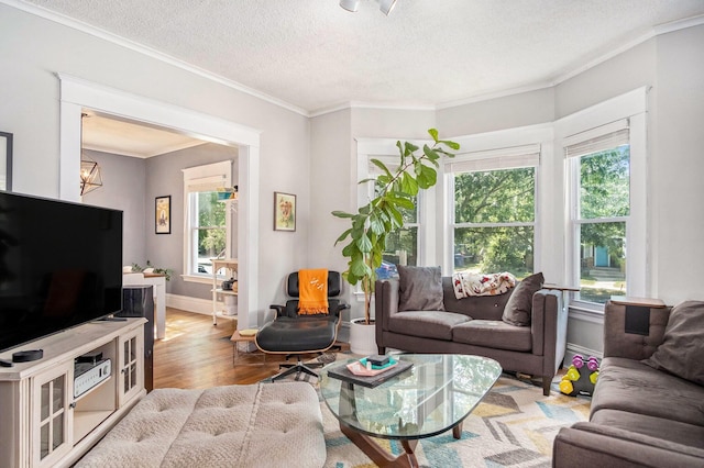 1200 Sherman St SE, Grand Rapids, MI 49506 - living room with plenty of natural light, a textured ceiling, wood finished floors, and crown molding
