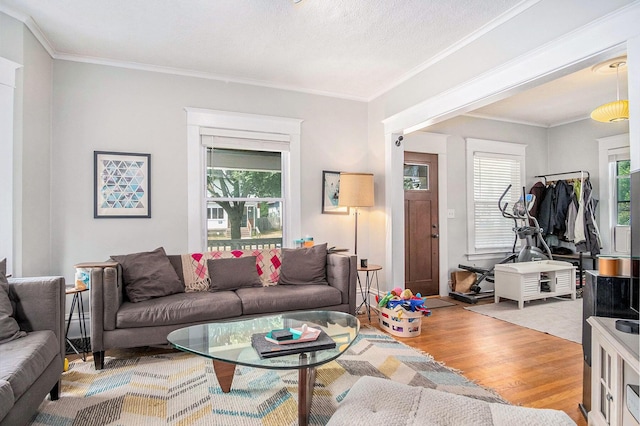 1200 Sherman St SE, Grand Rapids, MI 49506 - living area featuring wood finished floors and ornamental molding