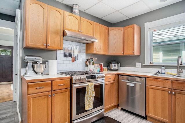 1200 Sherman St SE, Grand Rapids, MI 49506 - kitchen with appliances with stainless steel finishes, under cabinet range hood, light wood-style flooring, healthy amount of natural light, and a paneled ceiling