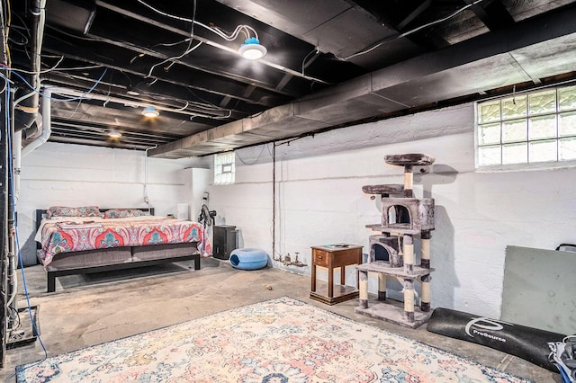 1200 Sherman St SE, Grand Rapids, MI 49506 - view of below grade area