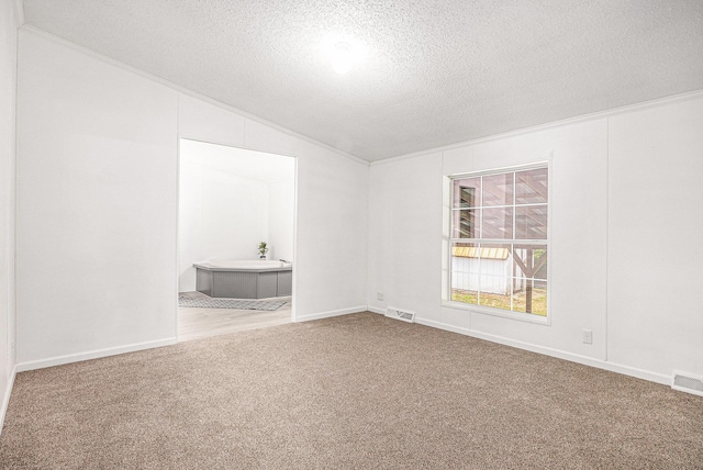 2141 S Parsons Ave, Fremont, MI 49412 - unfurnished room with carpet flooring, lofted ceiling, and a textured ceiling